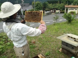 養蜂＠ぶくぶく農園＠小川町
