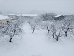 小川町の雪